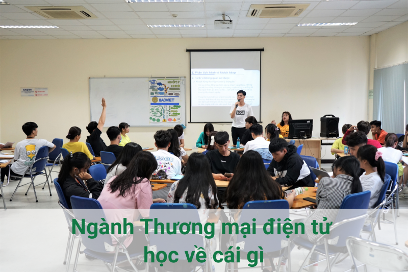 Ngành Thương mại điện tử học về cái gì