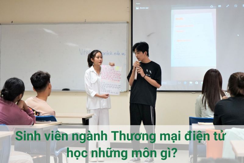 Sinh viên ngành Thương mại điện tử học những môn gì