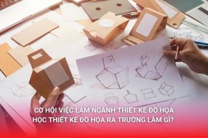 Học Thiết kế đồ họa ra làm gì và cơ hội việc làm trong ngành Thiết kế đồ họa